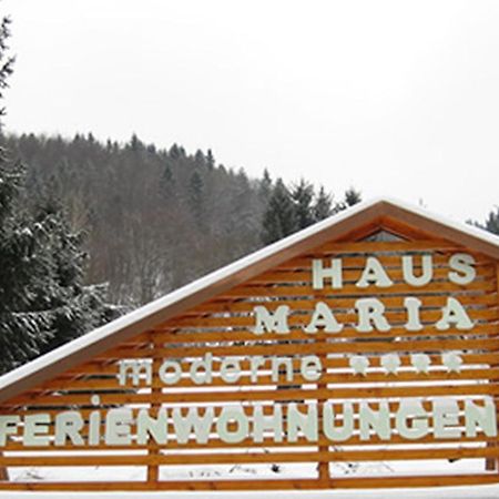 Haus Maria Todtnau Exterior foto
