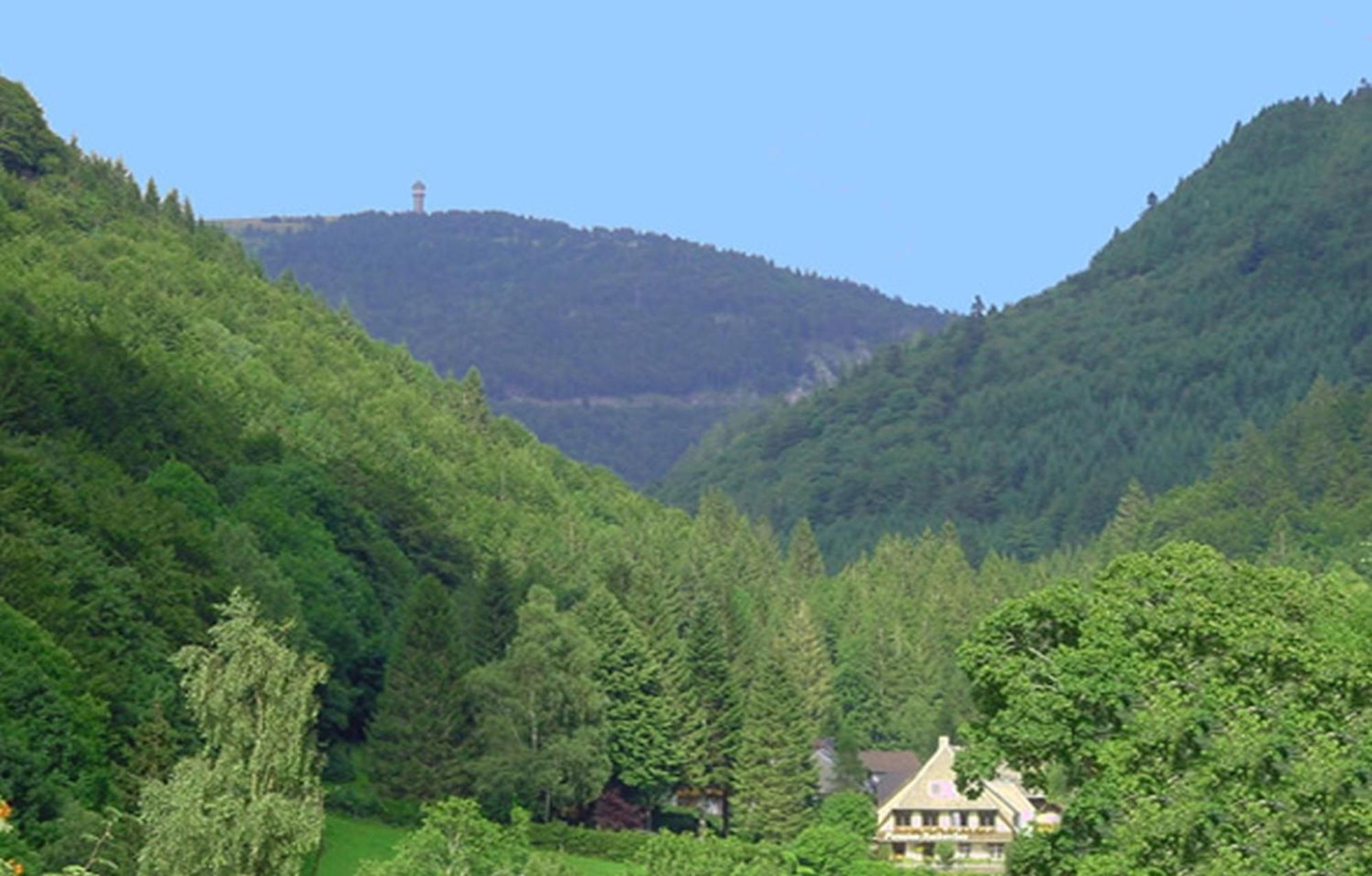 Haus Maria Todtnau Exterior foto