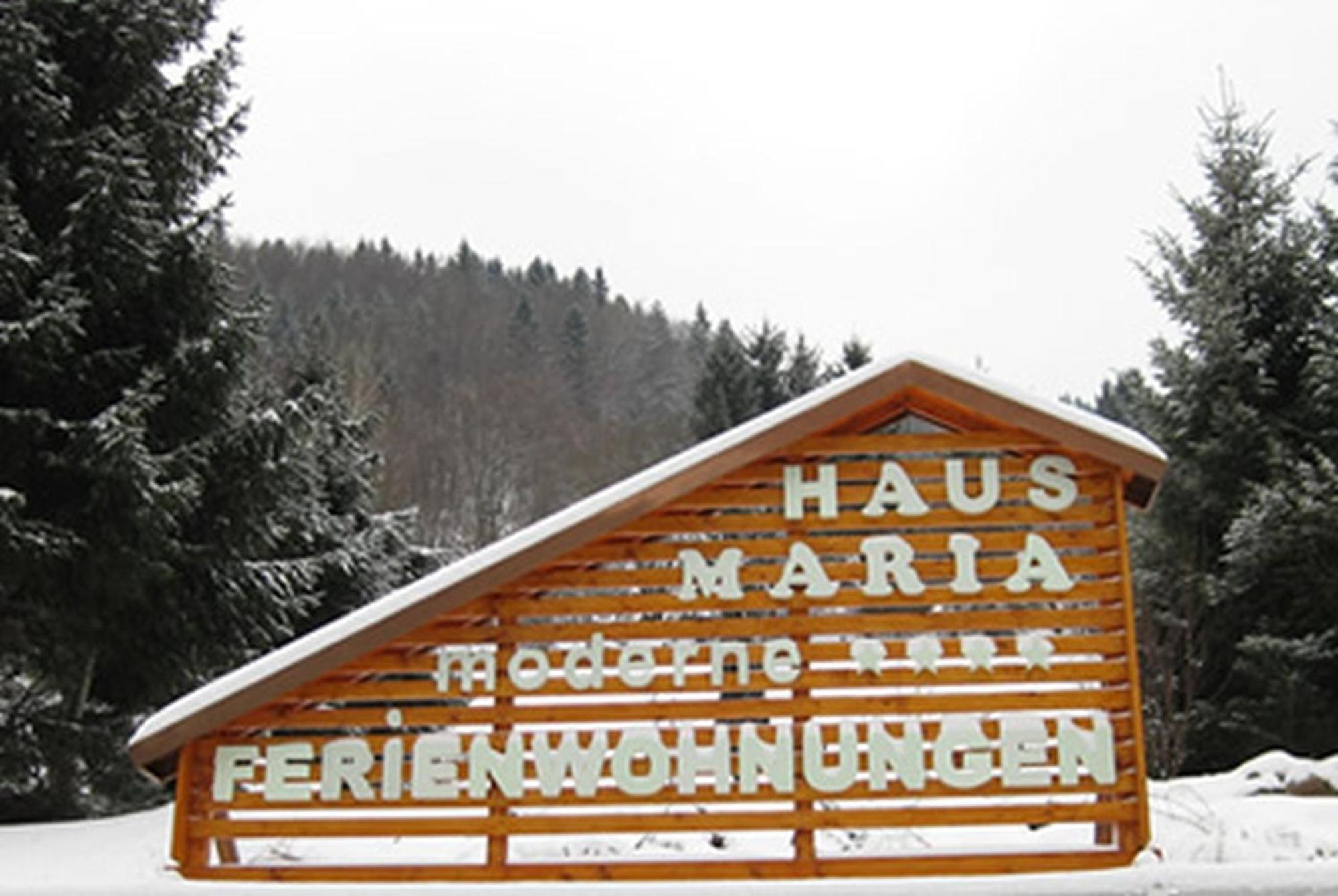 Haus Maria Todtnau Exterior foto