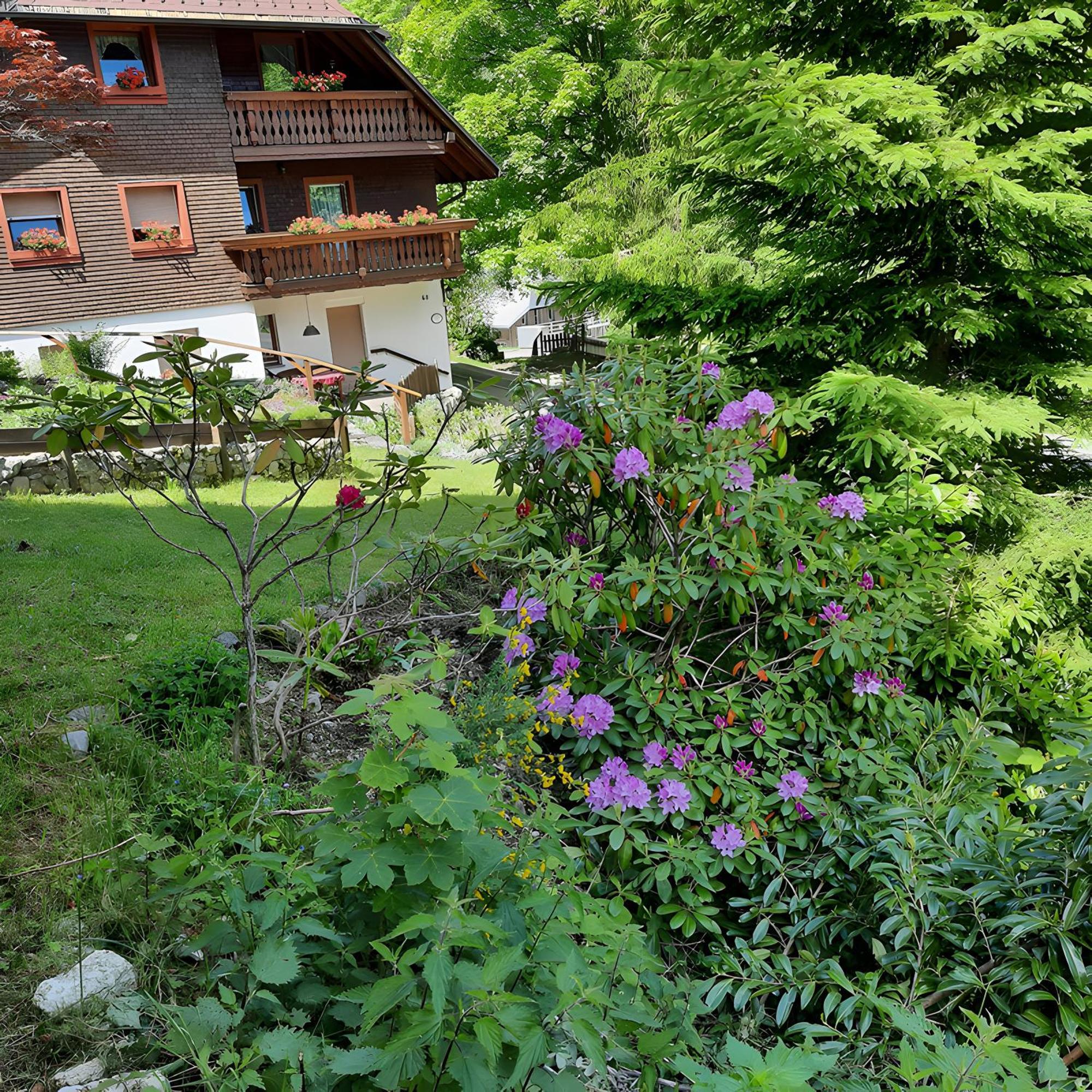 Haus Maria Todtnau Exterior foto