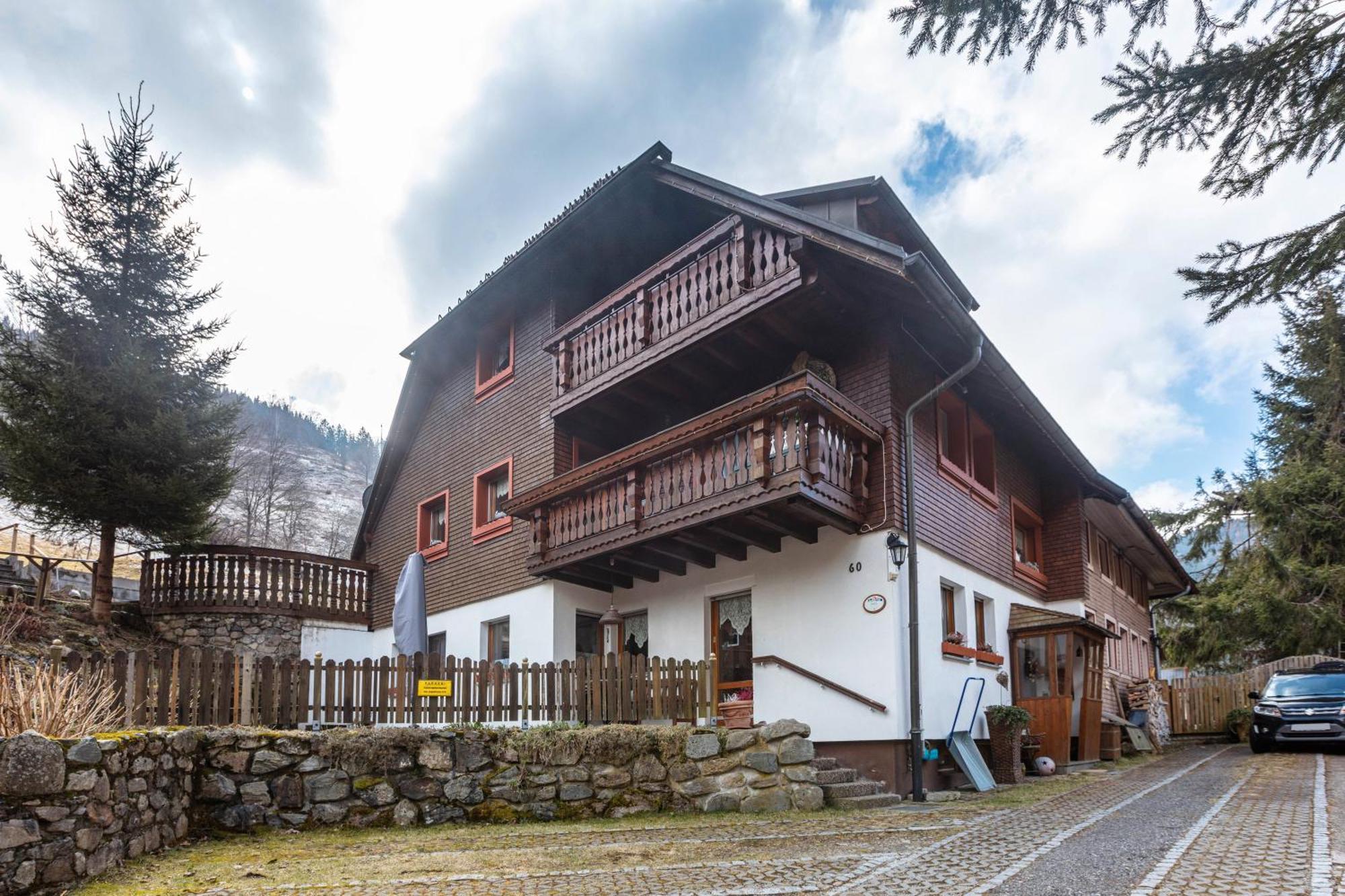 Haus Maria Todtnau Exterior foto