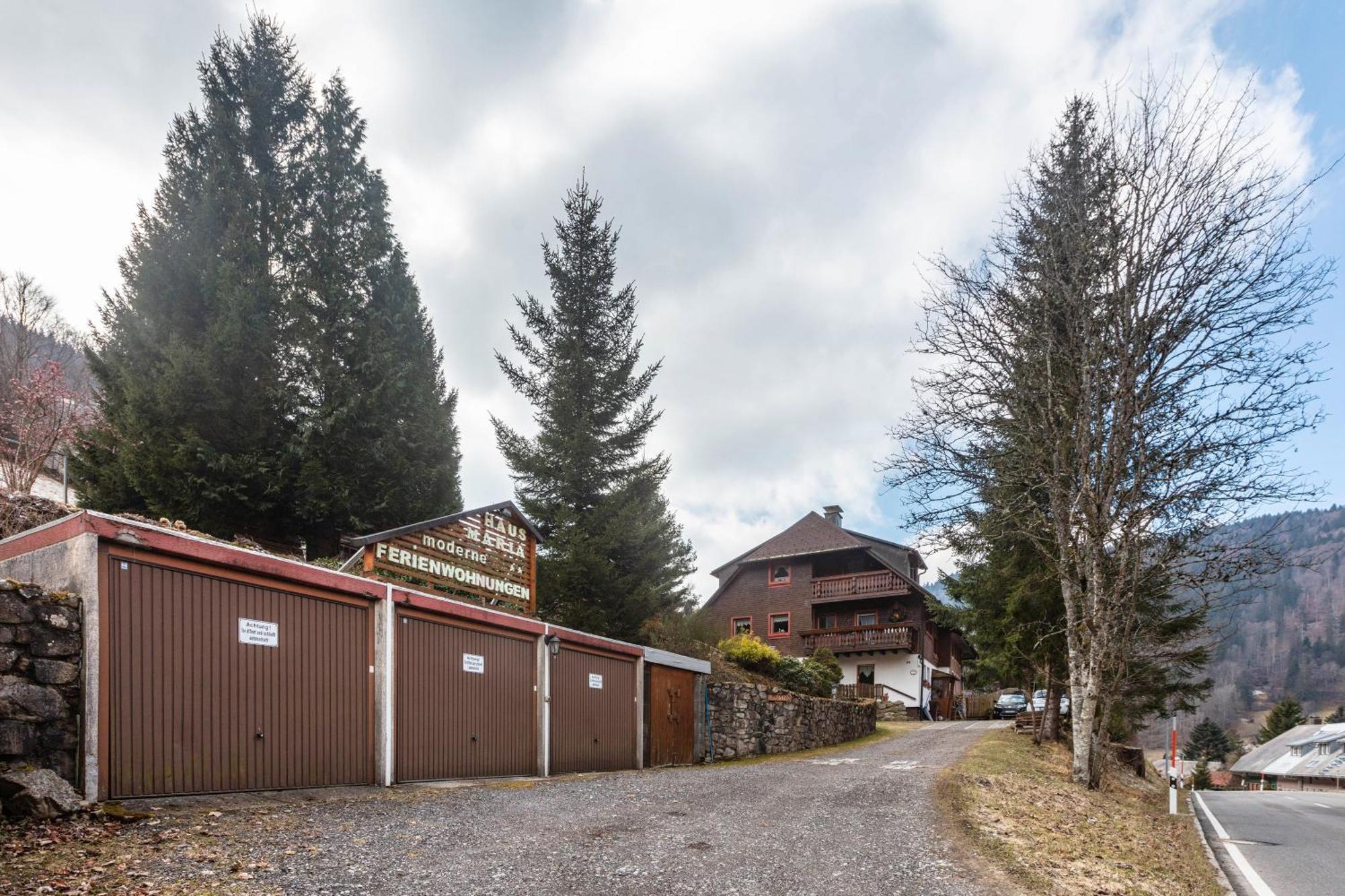 Haus Maria Todtnau Exterior foto